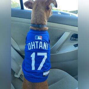 Meet your Posher, Sanne